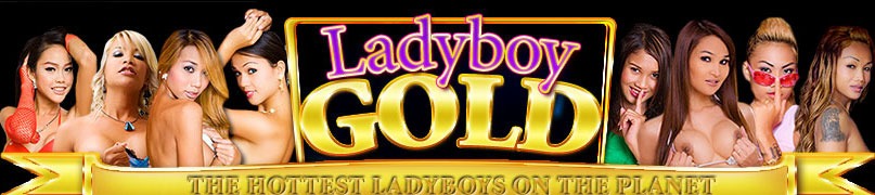 [LadyboyGold.com] LadyboyGold SITERIP (2011 – 2012)